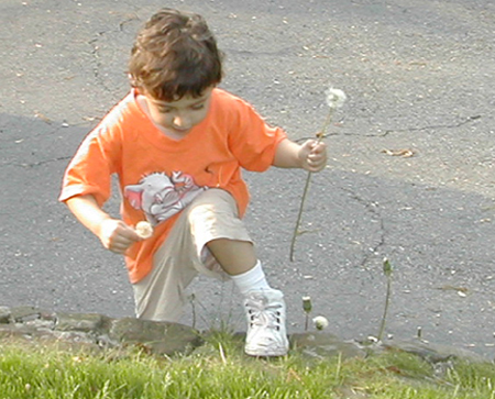 Nick: A Two-Fisted Dandelioner