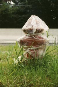 Christo's fire-hydrant