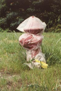 Christo's fire-hydrant