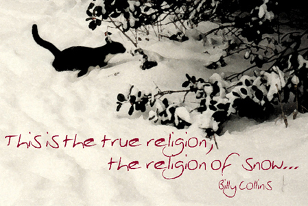 This is the true religion, the religion of snow.  ----Billy Collins